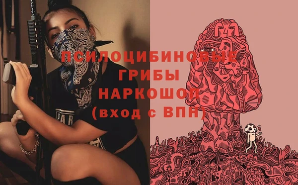 шишки Балабаново