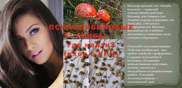шишки Балабаново
