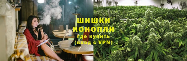 шишки Балабаново