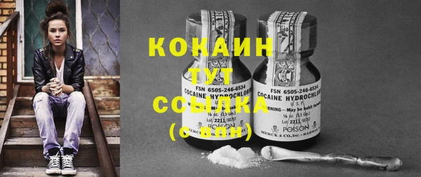шишки Балабаново