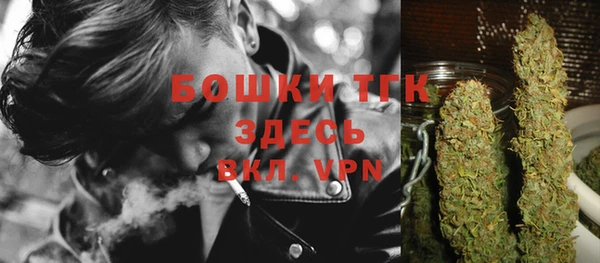 шишки Балабаново